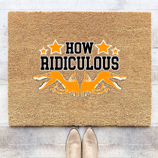 Discover How Ridiculous Rexy Coir Doormats