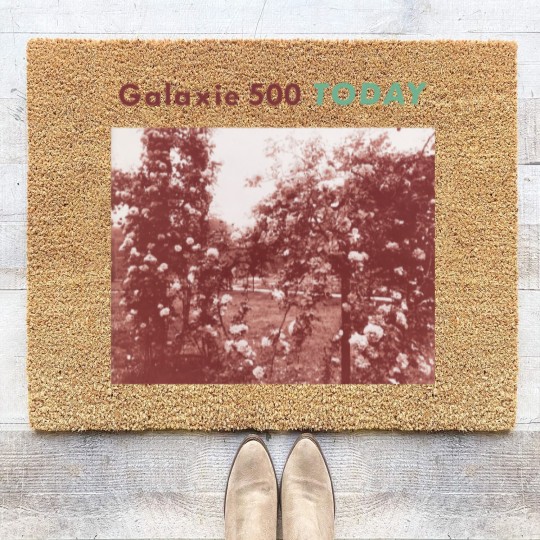 Discover Galaxie 500 - Today Coir Doormats