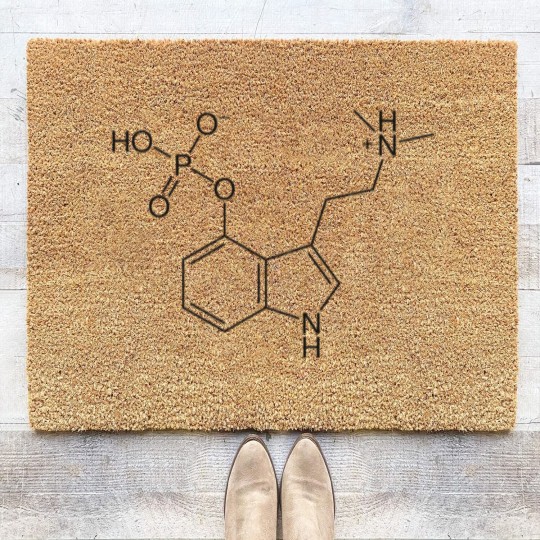 Discover psylocibin drug magic mushrooms Coir Doormats