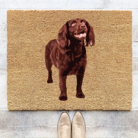 Discover Boykin Spaniel Coir Doormats Coir Doormats