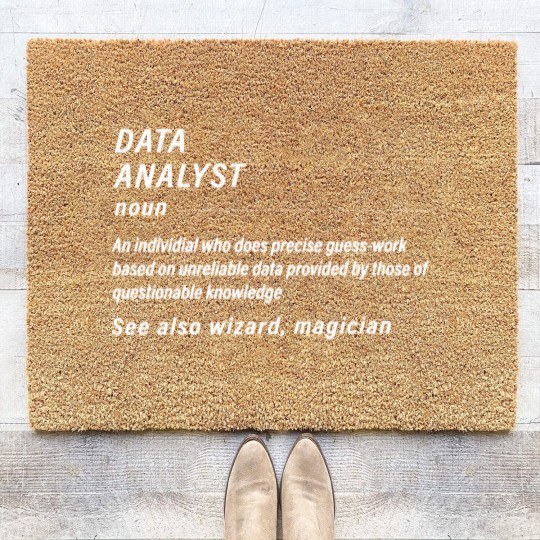 Discover Funny Data Coir Doormats for Data Analysts Gift Men Coir Doormats