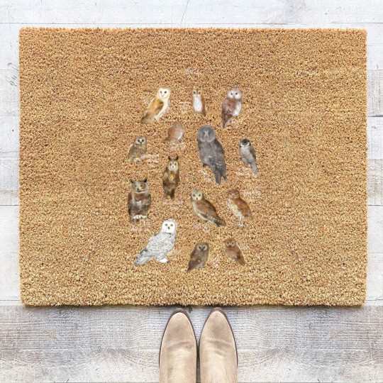Discover Owls Coir Doormats