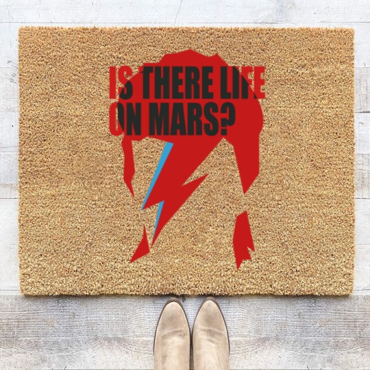 Discover Bowie X Coir Doormats