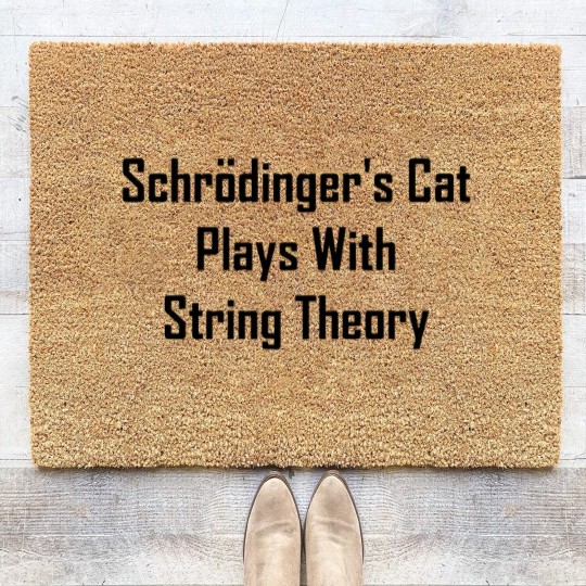 Discover Schrodinger&amp;39;s Cat Plays With String Theory Coir Doormats