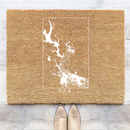 Discover Warrior Asta Coir Doormats