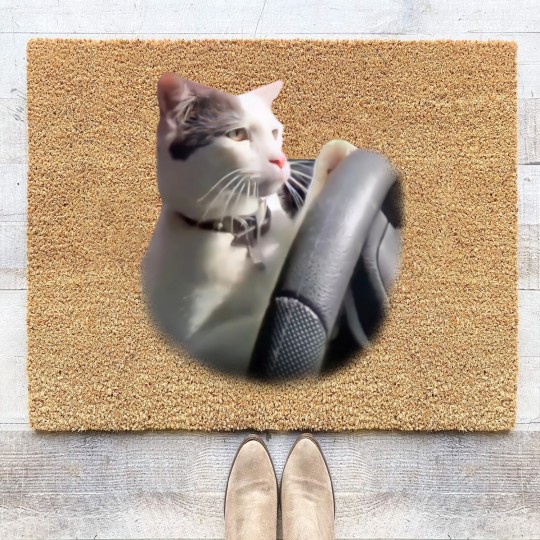 Discover Cat Driving A Car Instagram Katze Coir Doormats