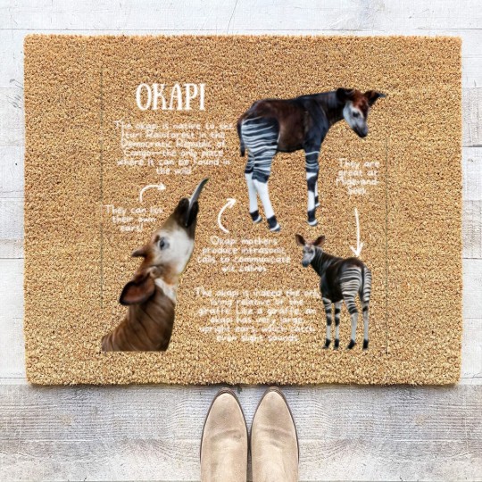 Discover Animal Facts - Okapi - Okapi - Coir Doormats