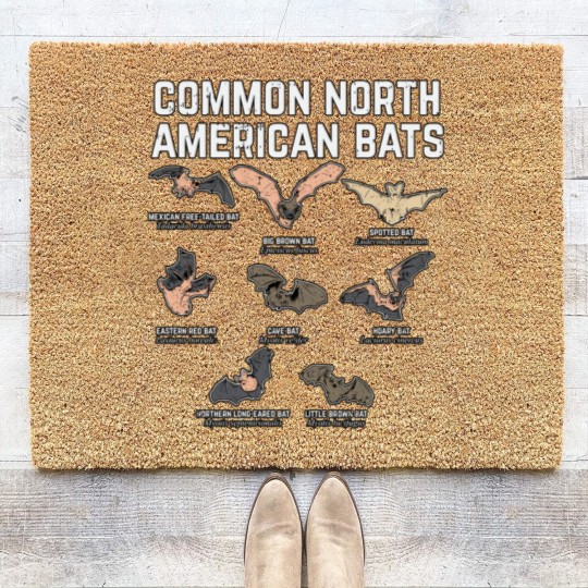 Discover Common North American Bats Coir Doormats