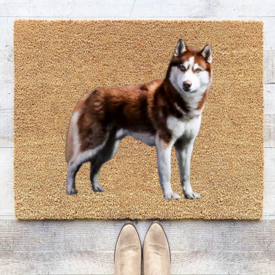 Discover Siberian Husky Red Husky Wolf Dog Coir Doormats