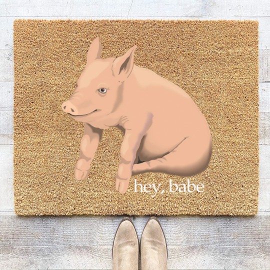 Discover Hey Babe Cute Pig Pun Coir Doormats