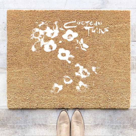 Discover Vintage Cocteau Twins Aesthetic Flower Inpsired Coir Doormats