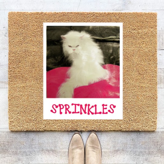 Discover Sprinkles the Cat - The Office - Coir Doormats