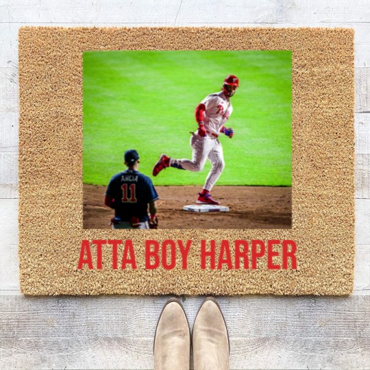 Discover Atta Boy Harper Coir Doormats