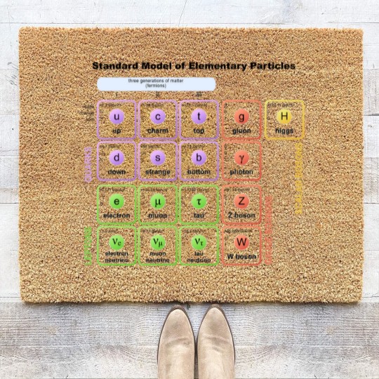 Discover Elementary Particles - Standard Model Coir Doormats