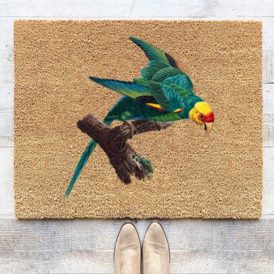 Discover Carolina parakeet Coir Doormats