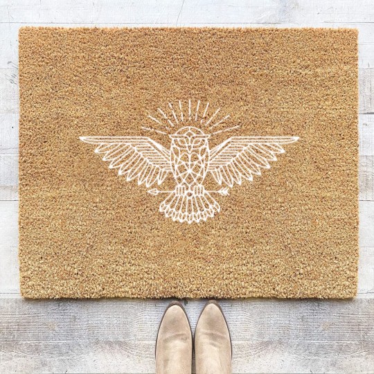 Discover All Knowing Owl Coir Doormats