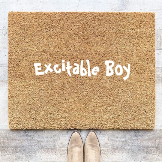 Discover Excitable Coir Doormats