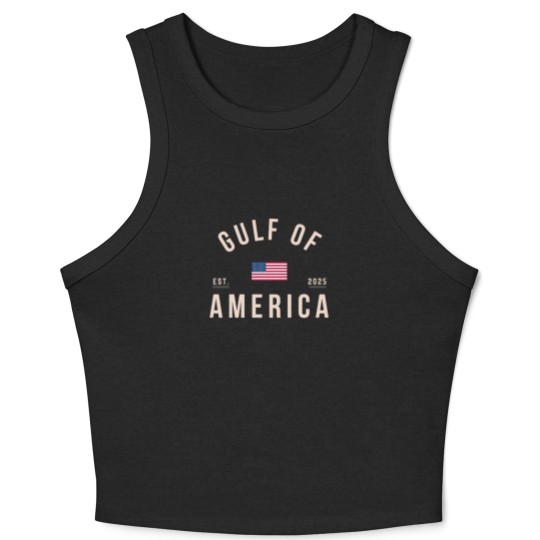 Discover Gulf of America Crop Tank Top, Comfort Colors Unisex Patriotic Crop Tank Top, United States of America Crop Tank Top