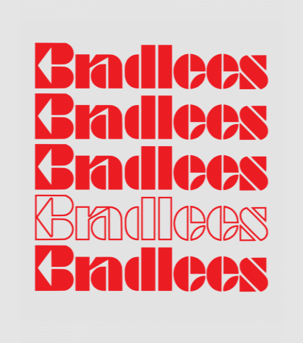 Discover Bradlees Department Store Digital Files