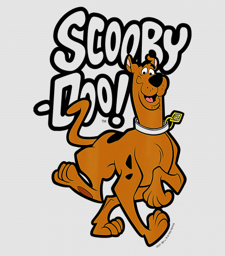 Discover Scooby Doo Scooby Digital Files Digital Files