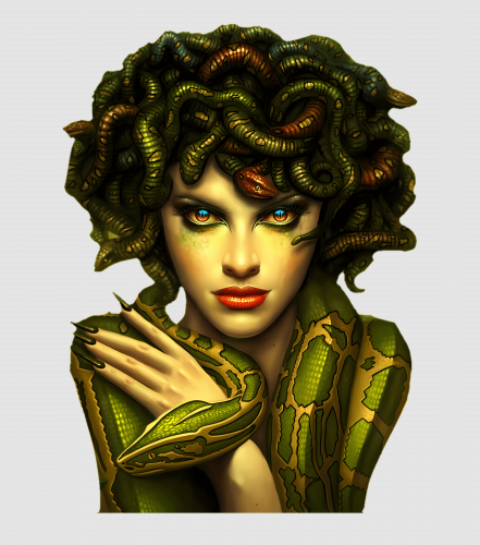 Discover Medusa Digital Files