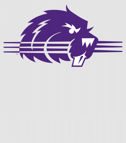 Discover College of Bluffton Beavers Athletic Digital Files