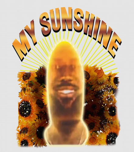 Discover You are my Sunshine Lebron James Digital Files, My Sunshine Digital Files, lebron james meme Digital Files