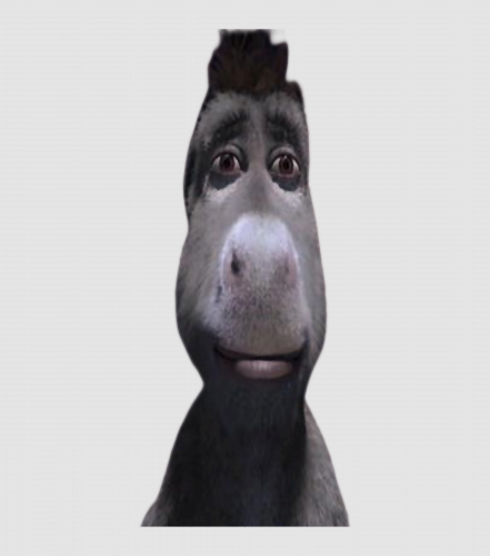 Discover Staring Donkey from shrek Digital Files