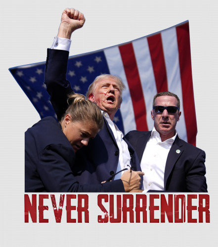 Discover Trump Shot Digital Files - Pennsylvania Rally 2024
