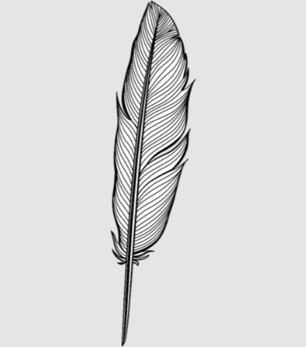 Discover 04 feather 4 png vectorstock 7188867 Digital Files