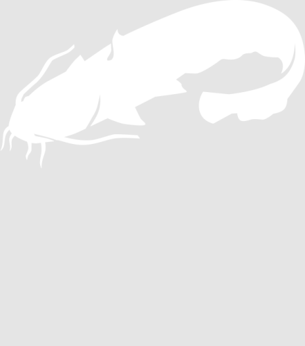 Discover Catfish Digital Files