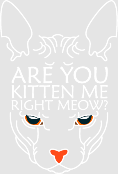 Discover Are you kitten me right meow Digital Files