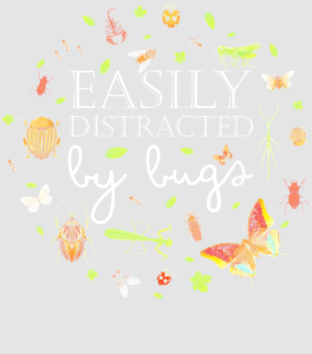 Discover Easily Distracted By Bugs Funny Bug Insects Digital Files