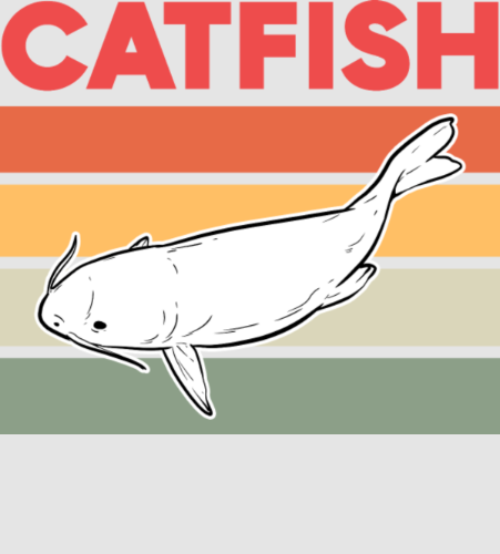 Discover Catfish Digital Files