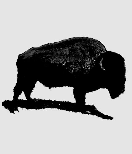 Discover Black & White Buffalo Digital Files
