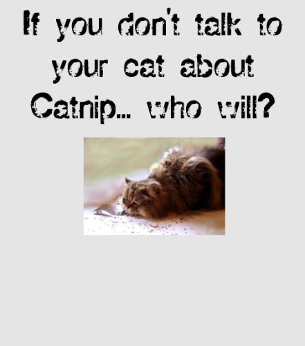 Discover Funny Catnip Public Service Announcement T Digital Files