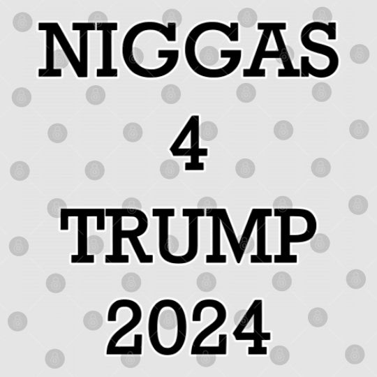 Discover Trump 2024 Digital Files