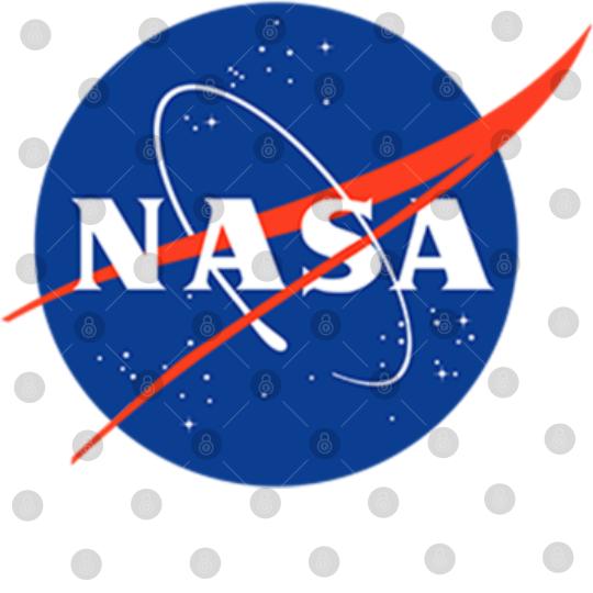 Discover NASA Meatball Logo Insignia Symbol NASA Digital Files
