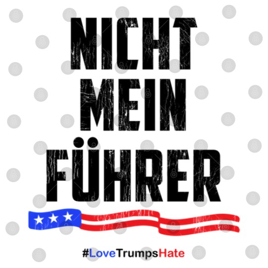 Discover nicht mein fuhrer not my president 1 Digital Files
