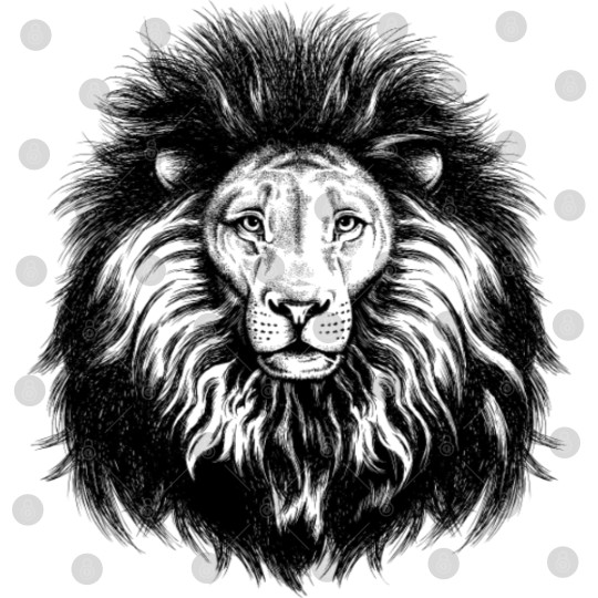 Discover lion_with_big_hair Digital Files