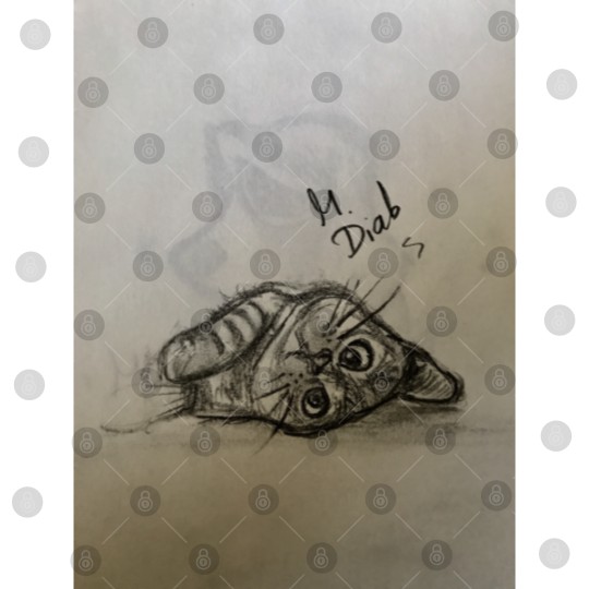 Discover Cat Refugee Digital Files
