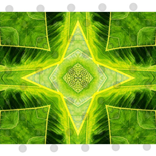 Discover ABSTRACT PAINTED GEOMETRIC ART BREADFRUIT PATTERN. Digital Files