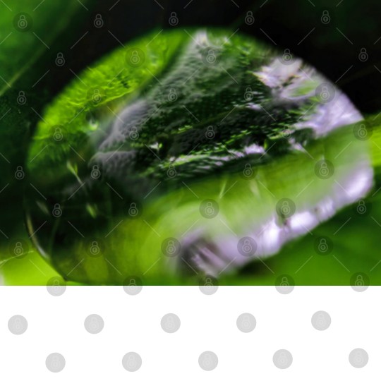 Discover Dew Drop Digital Files