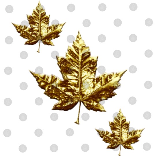 Discover Cool Canada  Gold Maple Leaf Digital Files