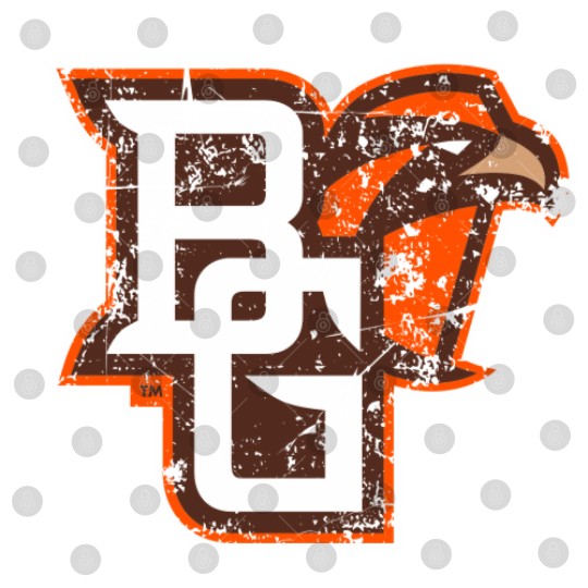 Discover BG Falcons Distressed Digital Files