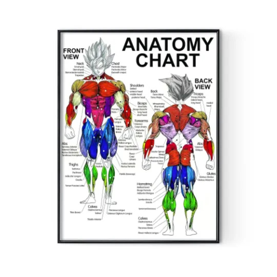 Discover Saiyan Anatomy Chart - Muscle Diagram - Anime Workout Classic . Premium Matte Vertical Poster Digital Posters Print