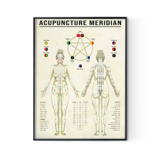 Discover Acupunture Meridian Premium Matte Vertical Poster Digital Posters Print