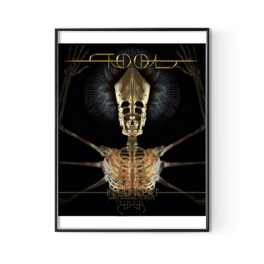 Discover Tool 2024 Digital Concert Posters