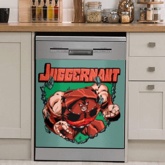 Discover The Juggernaut Dish Washer Covers