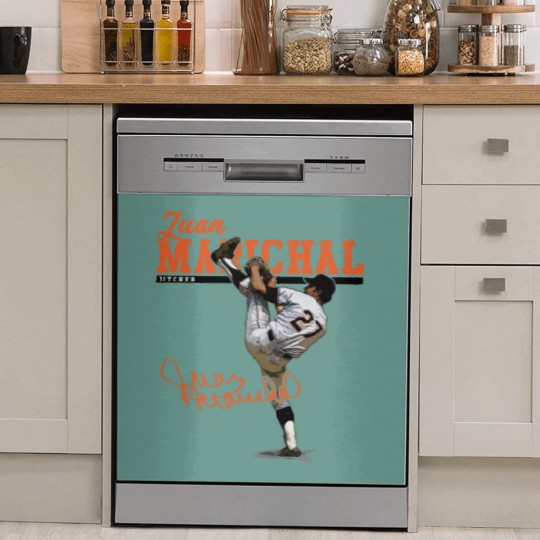 Discover Juan Marichal Play Dish Washer Covers